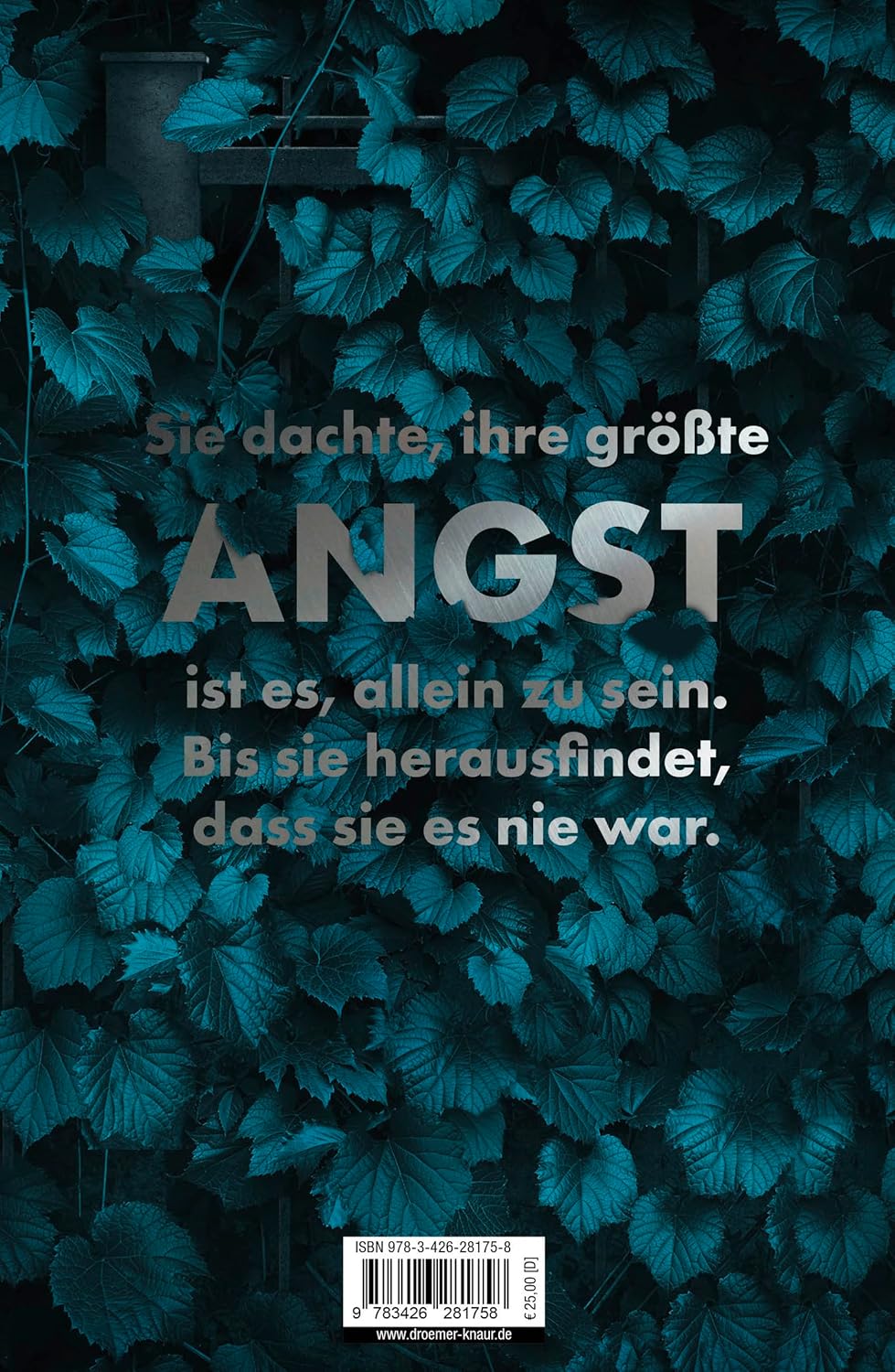 Sebastian Fitzek – Der Nachbar